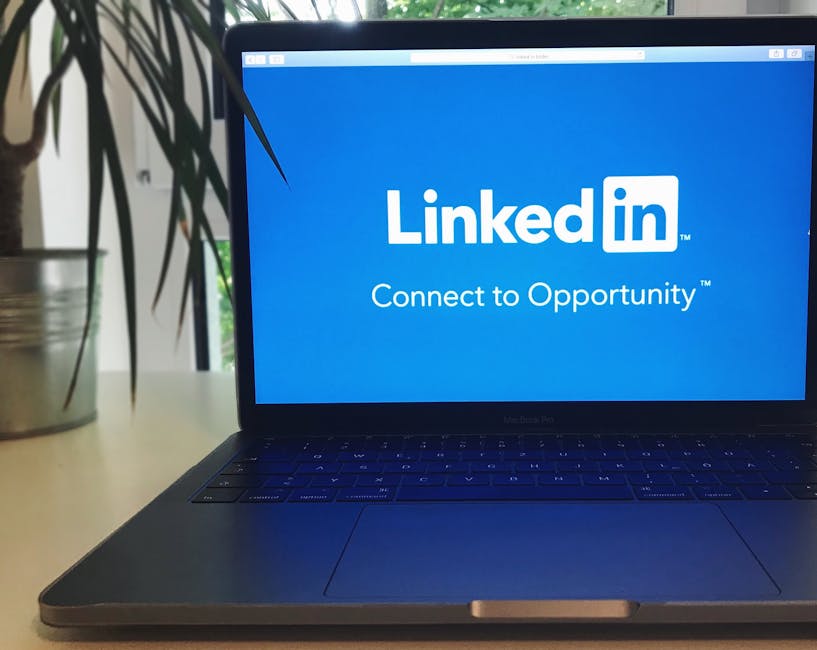 Building Brand Loyalty Through Personalized Media Experiences