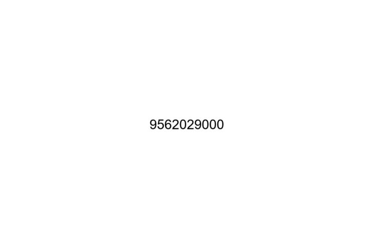 9562029000