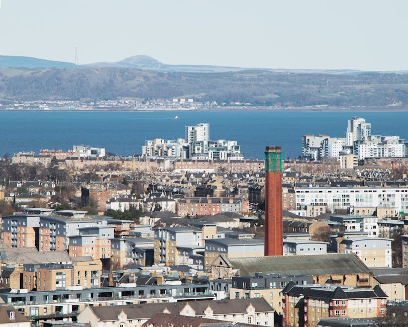 industry reinvention