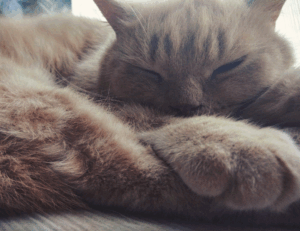 is lake yiganlawi dangerous