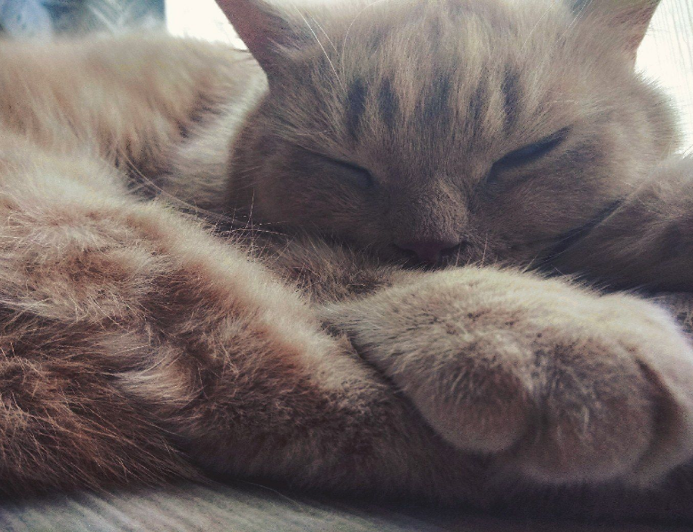 is lake yiganlawi dangerous