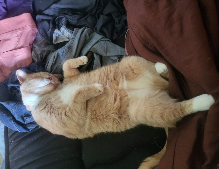 island name ponadiza