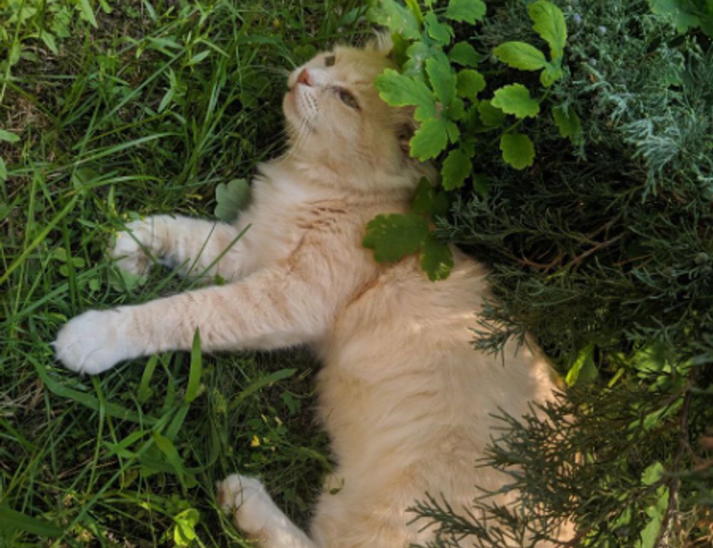 what can you do at lake faticalawi