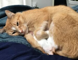 why is lake yiganlawi famous