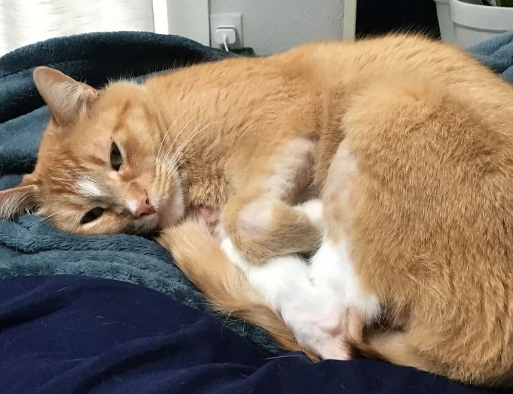 why is lake yiganlawi famous