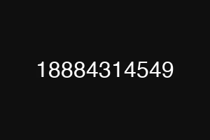 18884314549