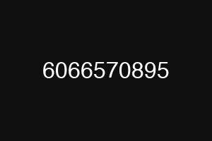 6066570895