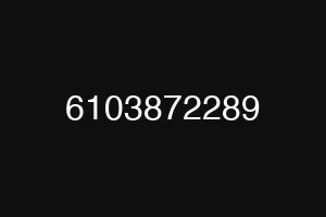 6103872289
