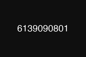 6139090801
