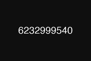 6232999540
