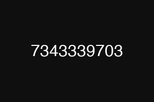 7343339703
