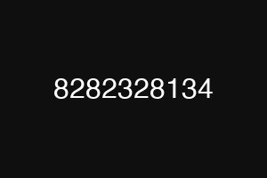 8282328134