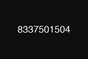 8337501504