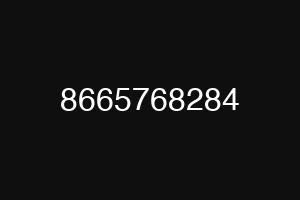8665768284