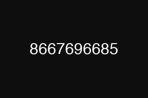 8667696685