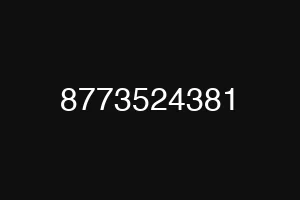 8773524381