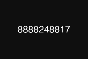 8888248817