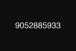 9052885933