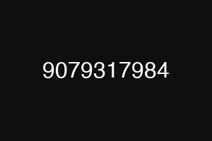 9079317984