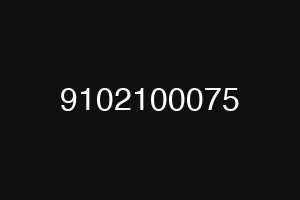 9102100075