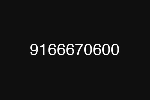 9166670600