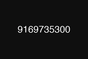 9169735300