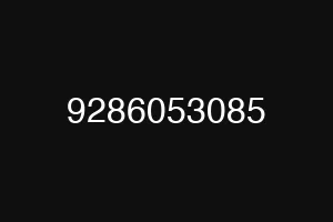 9286053085