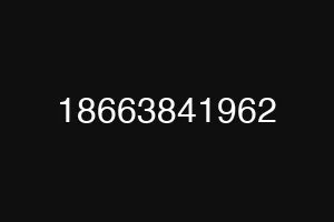 18663841962