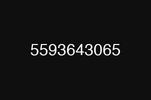 5593643065