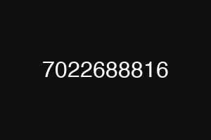 7022688816