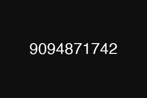 9094871742